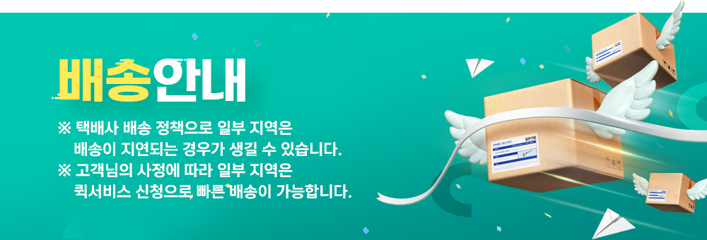 배송정책